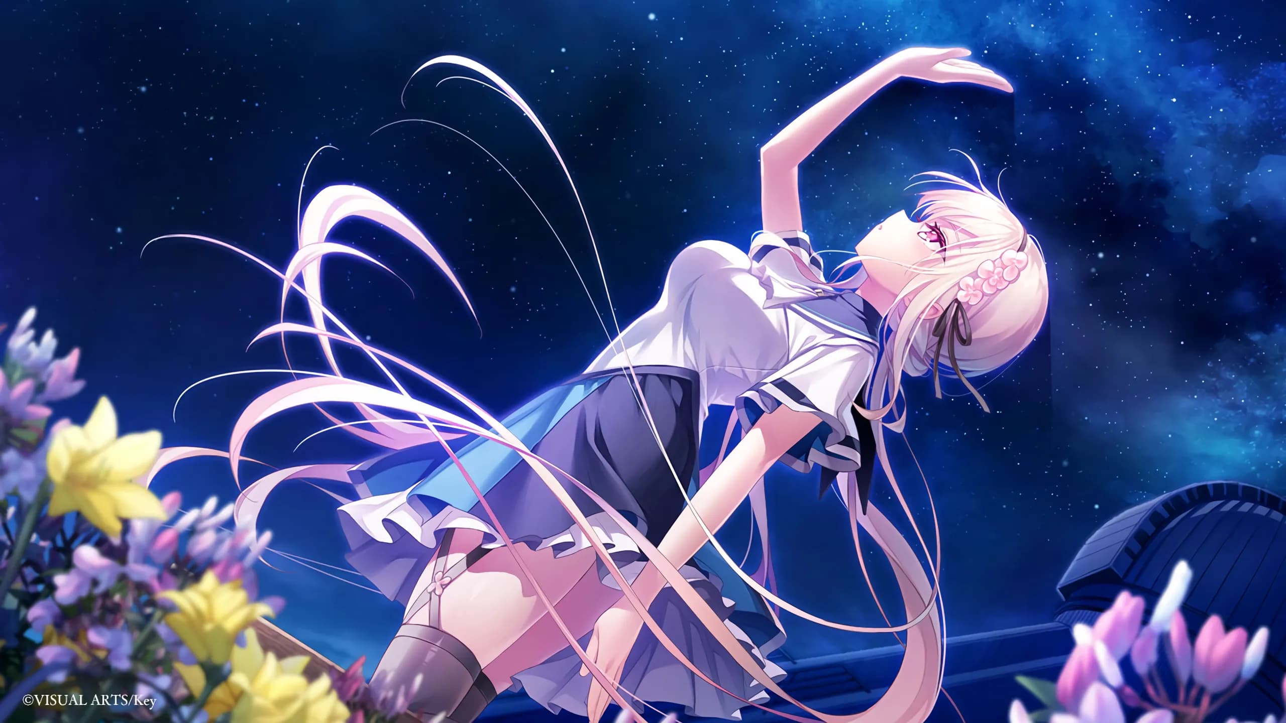 Shionlib Development Overview