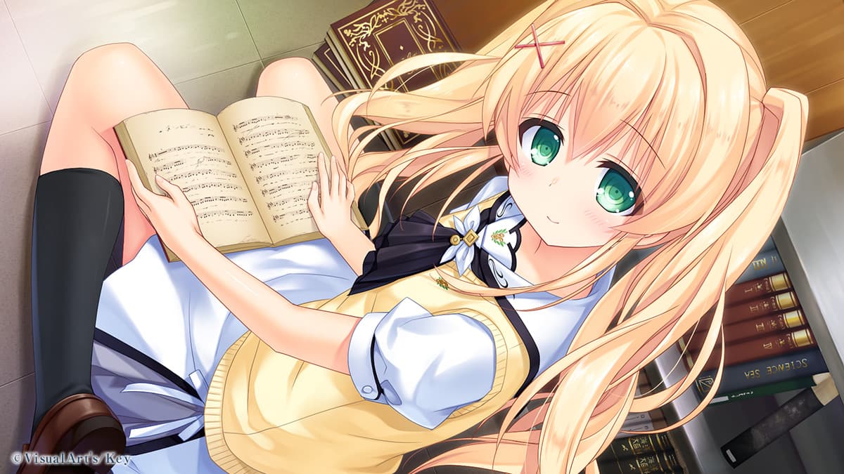 https://images.yurari.moe/galgame/10007/rqt48lai_2.jpg