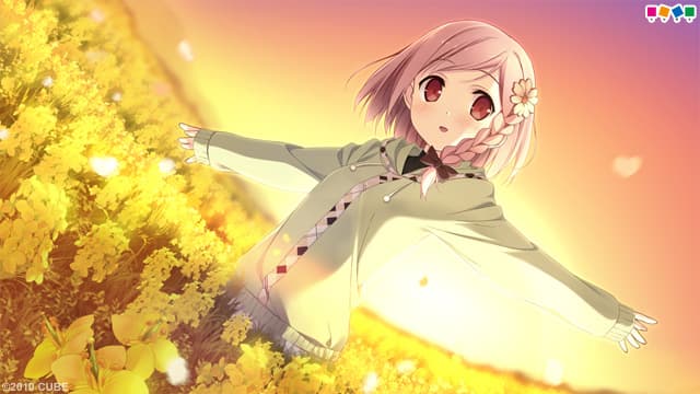 https://images.yurari.moe/galgame/10023/snpepvij_2.jpg