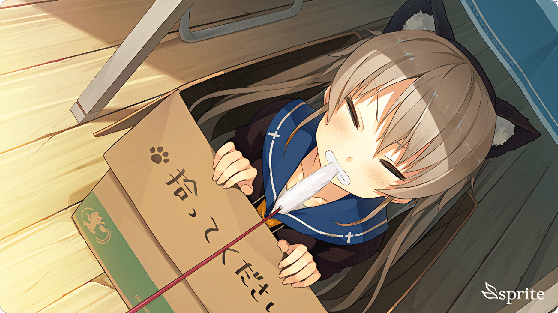 https://images.yurari.moe/galgame/10033/5t196k3x_2.png