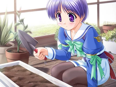 https://images.yurari.moe/galgame/10098/k8gderd0_2.jpg