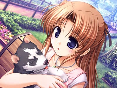 https://images.yurari.moe/galgame/10101/y04yazj5_2.jpg
