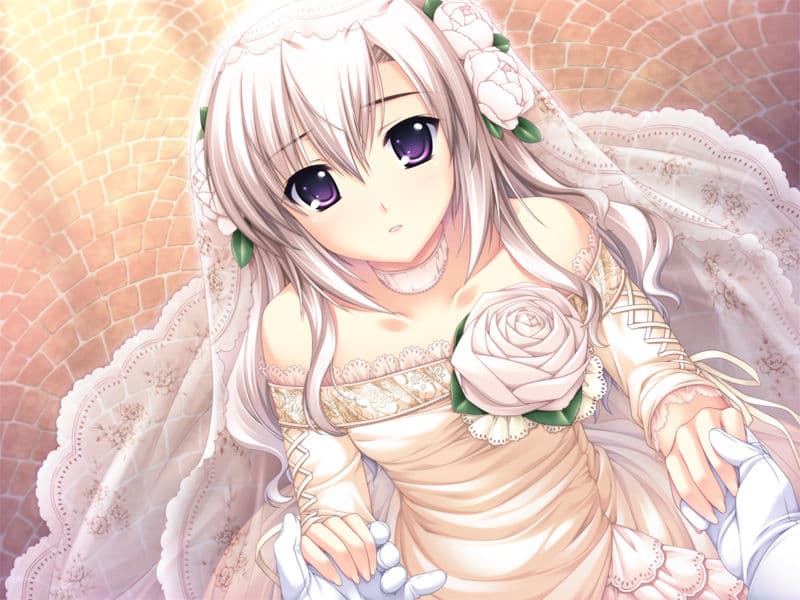 https://images.yurari.moe/galgame/10116/o0votio1_2.jpg