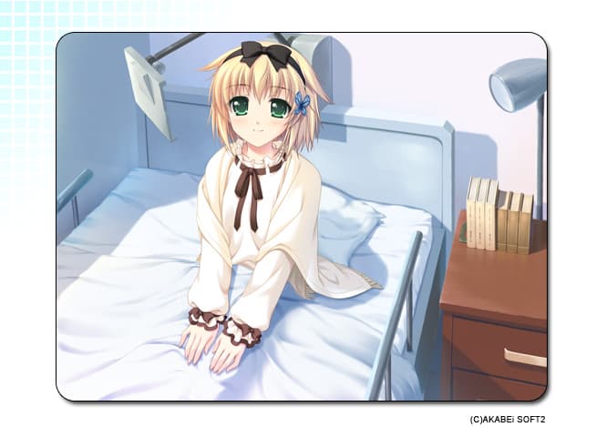 https://images.yurari.moe/galgame/10117/z507vikc_2.jpg