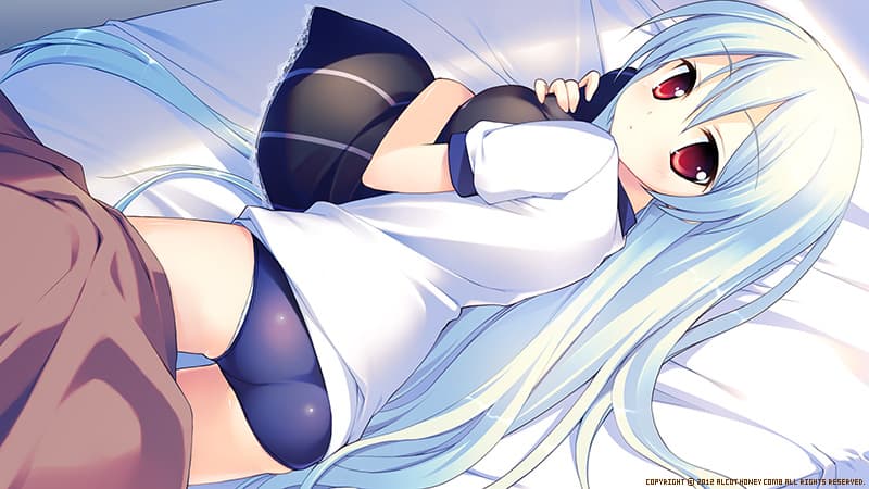 https://images.yurari.moe/galgame/10143/4e1bv8po_2.jpg