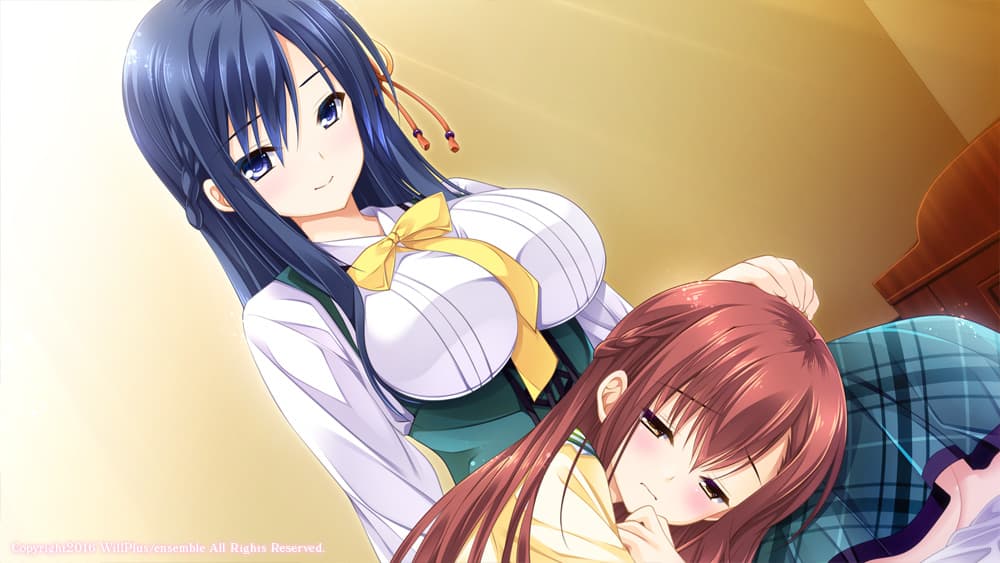 https://images.yurari.moe/galgame/10205/d6swkdrv_2.jpg