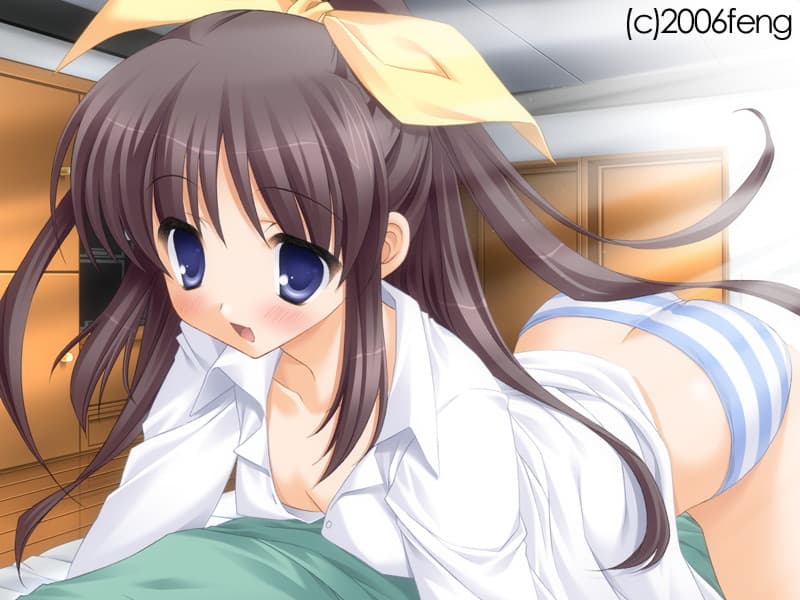 https://images.yurari.moe/galgame/10224/sejy00me_2.jpg