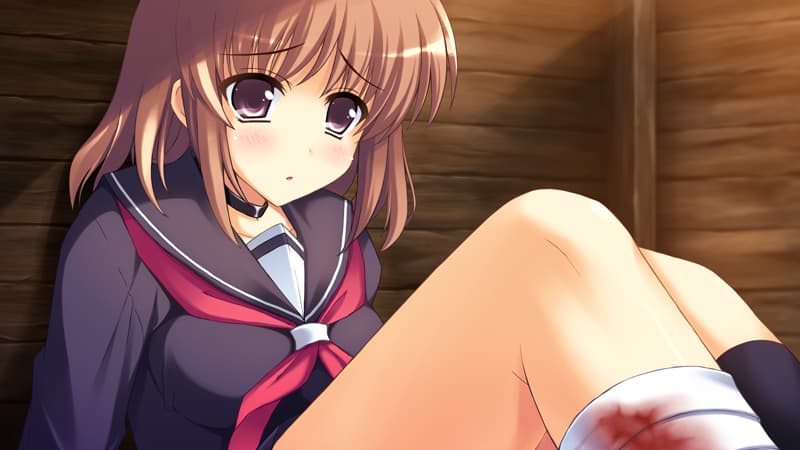 https://images.yurari.moe/galgame/10258/bz0c2fms_2.jpg