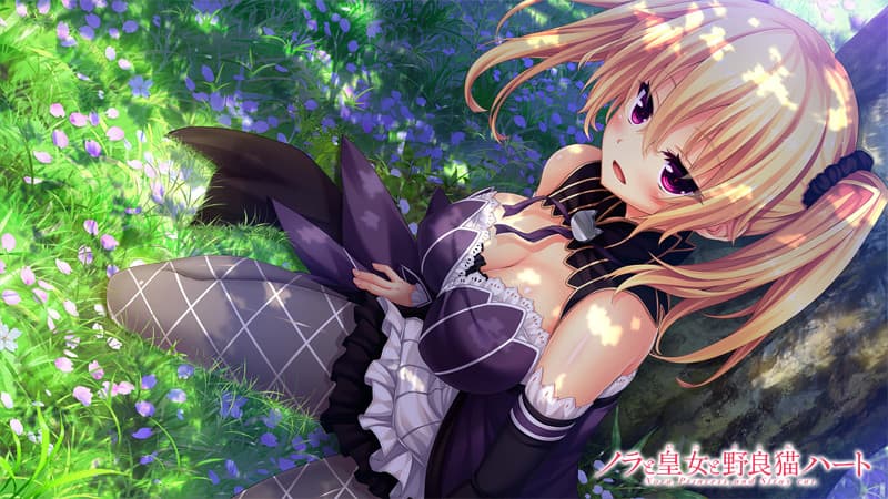 https://images.yurari.moe/galgame/10320/bk9v5k9f_2.jpg
