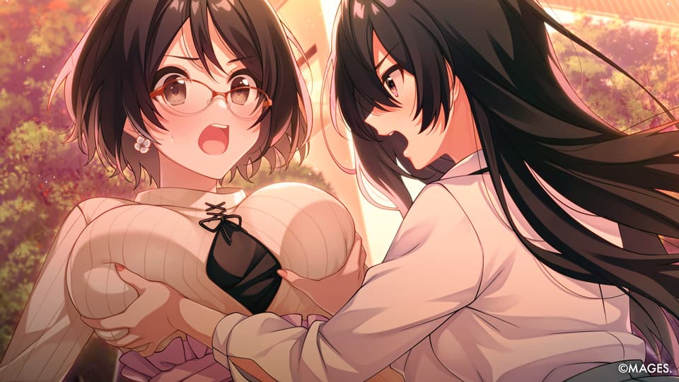 https://images.yurari.moe/galgame/10367/fcpfl29b_2.jpg