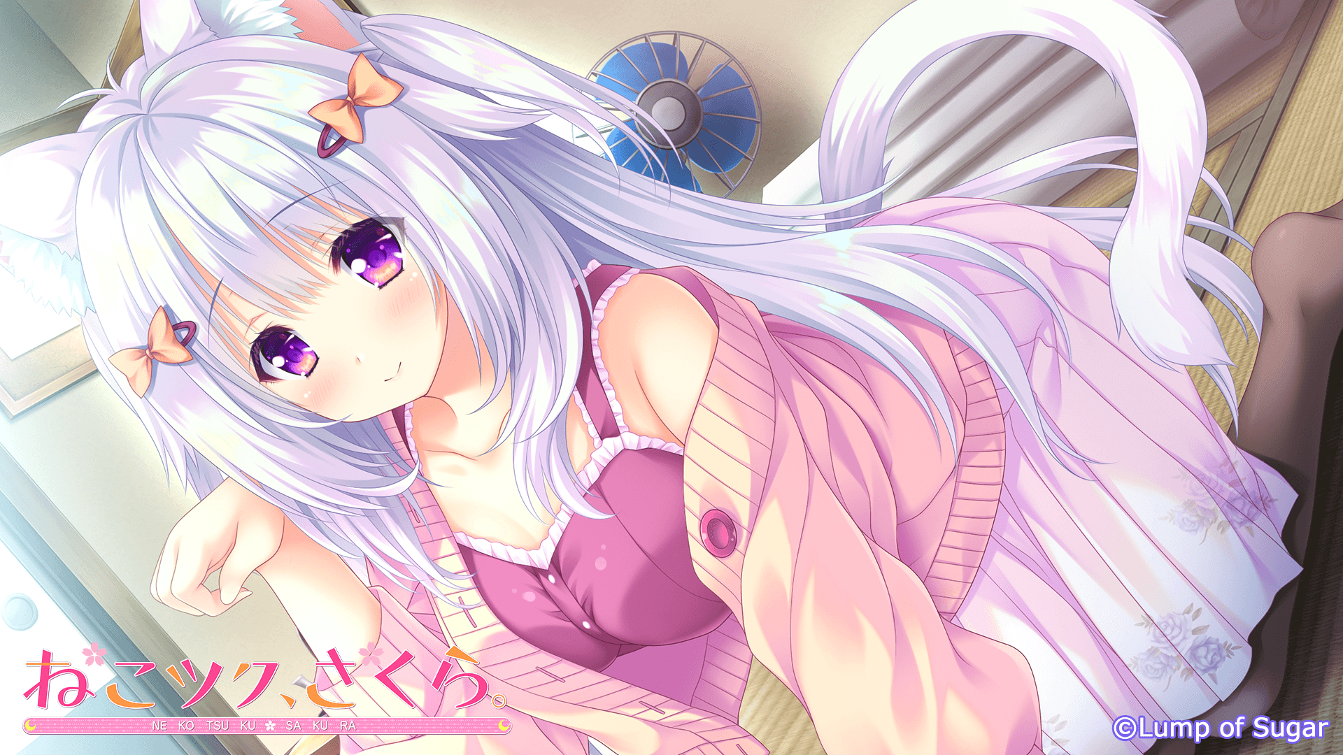 https://images.yurari.moe/galgame/10423/lxyilgdt_2.png