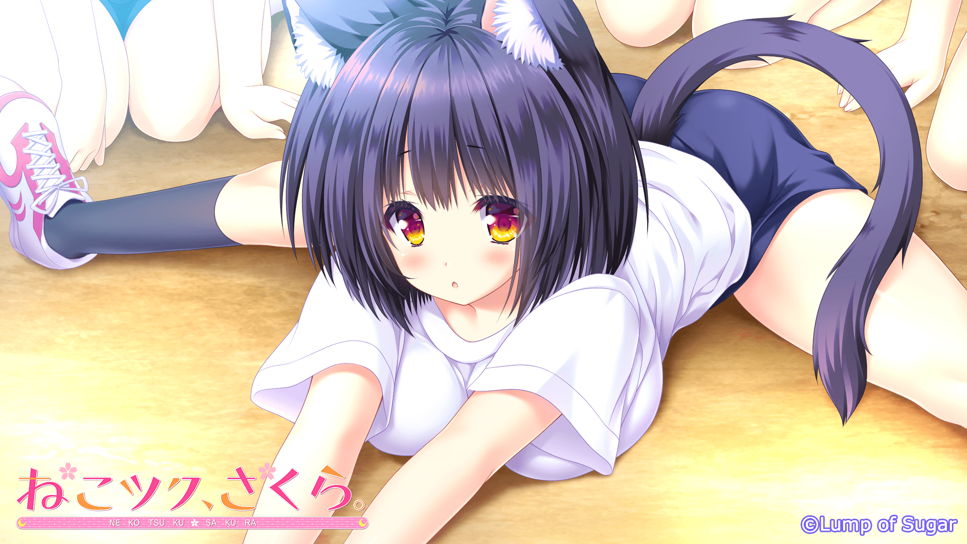 https://images.yurari.moe/galgame/10423/qf26pul5_2.png