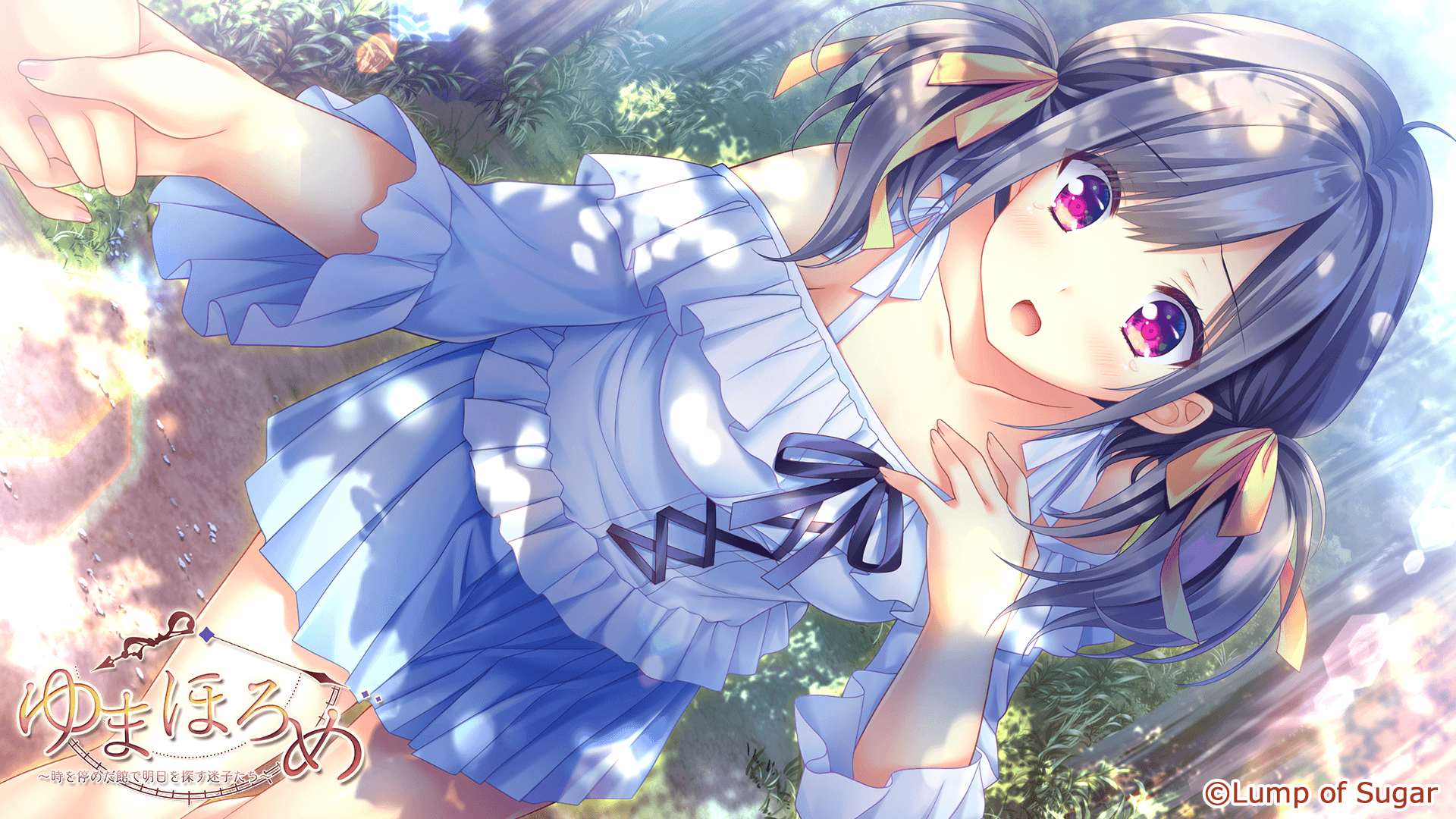 https://images.yurari.moe/galgame/10425/lymce205_2.png