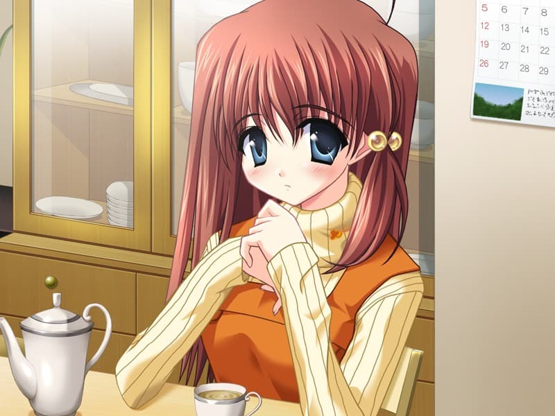 https://images.yurari.moe/galgame/10431/lzreidgg_2.jpg
