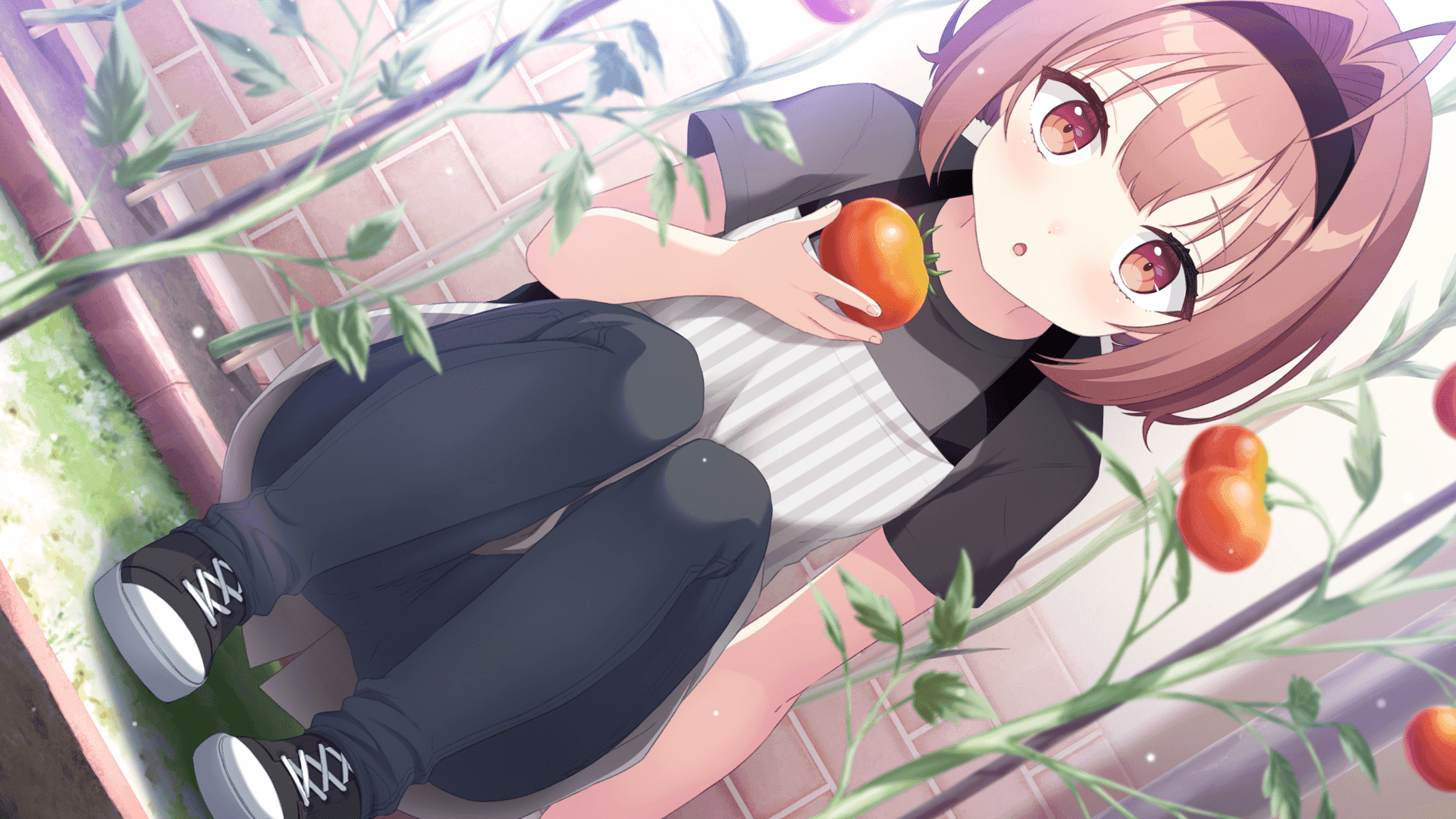 https://images.yurari.moe/galgame/10567/3gedz9t9_2.png