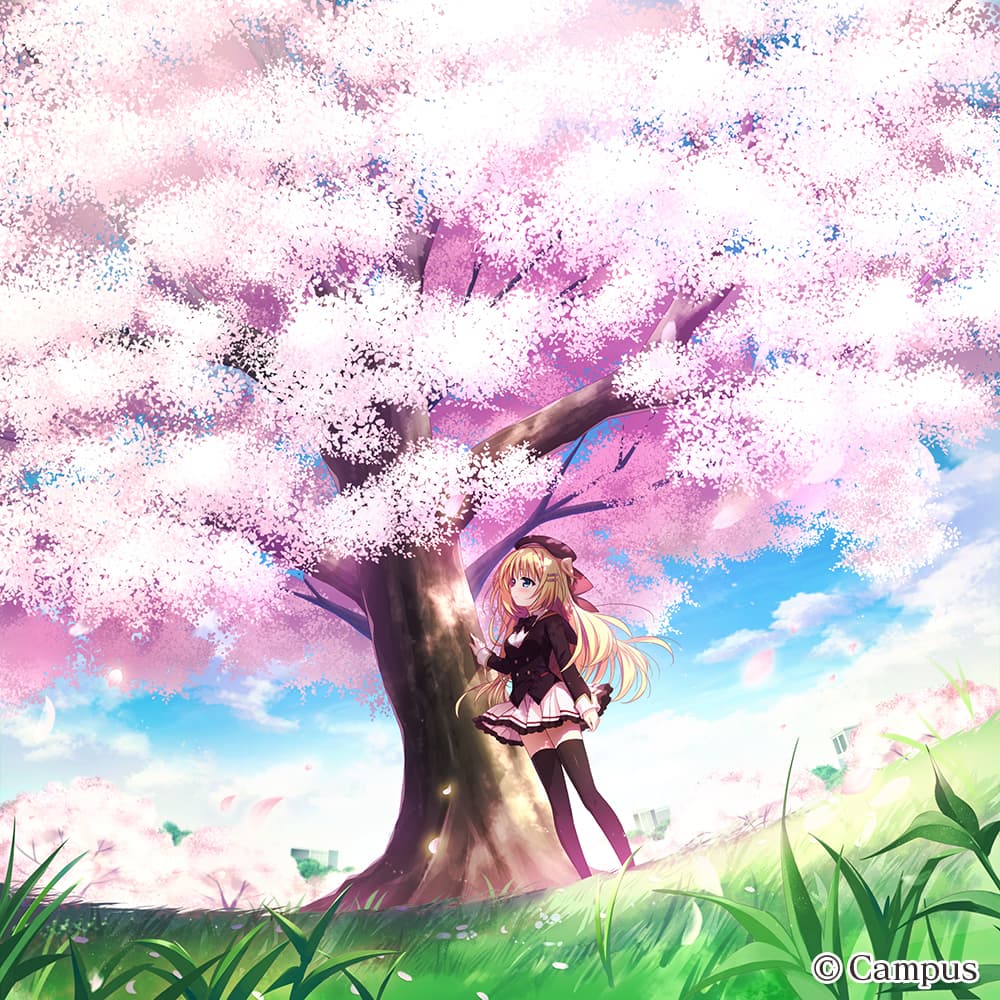 https://images.yurari.moe/galgame/10588/sd8gkr99_2.jpg