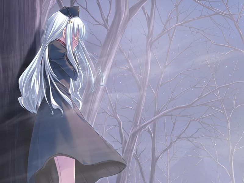 https://images.yurari.moe/galgame/10675/313ervok_2.jpg