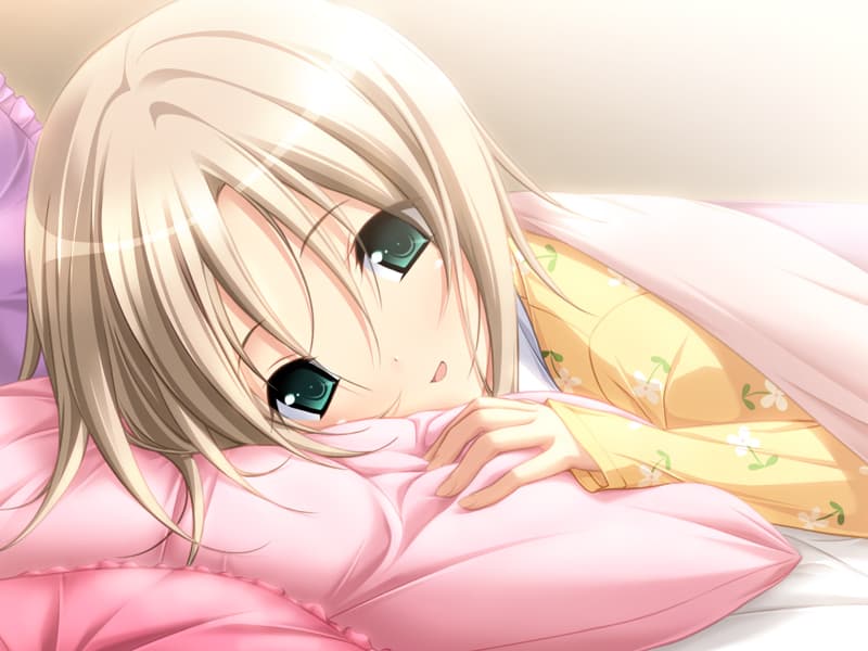 https://images.yurari.moe/galgame/10683/iaswacyz_2.jpg