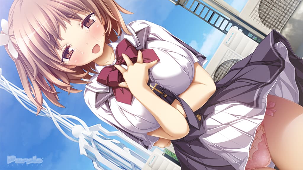 https://images.yurari.moe/galgame/10688/83i4qq4u_2.jpg