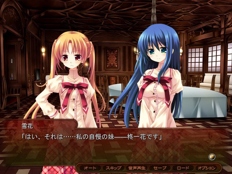 https://images.yurari.moe/galgame/10716/dw616lnp_2.jpg
