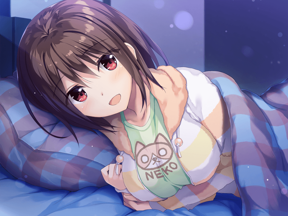 https://images.yurari.moe/galgame/10812/fcr1k05d_2.png