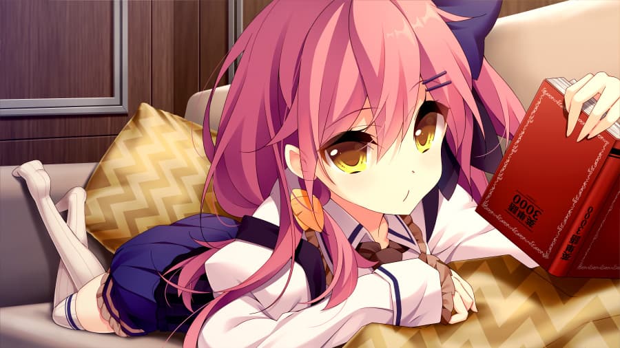 https://images.yurari.moe/galgame/10835/kg591754_2.jpg