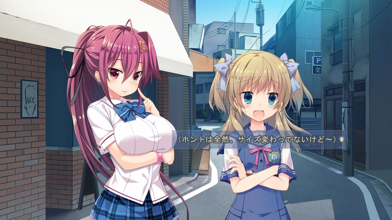 https://images.yurari.moe/galgame/10855/0wg2pys3_2.jpg