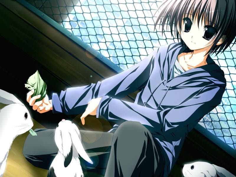 https://images.yurari.moe/galgame/10884/qhyp5fw1_2.jpg
