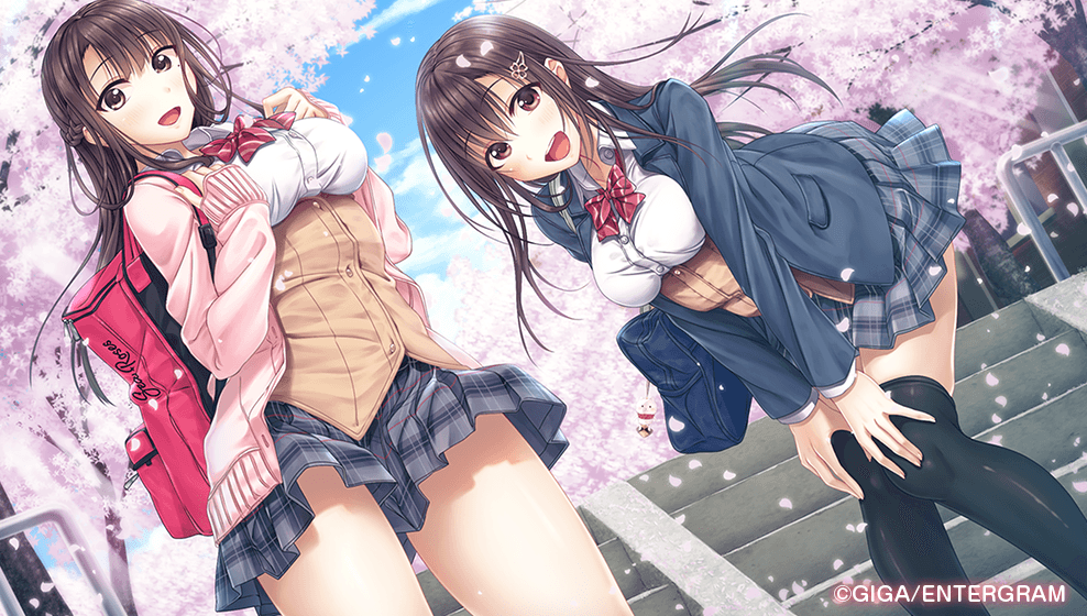 https://images.yurari.moe/galgame/10894/bqegyzq9_2.png