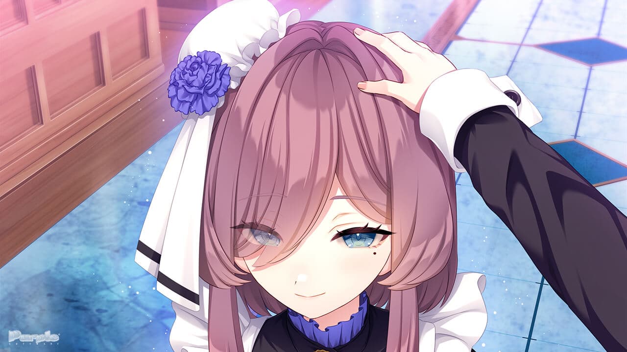 https://images.yurari.moe/galgame/10904/on9wi84q_2.jpg
