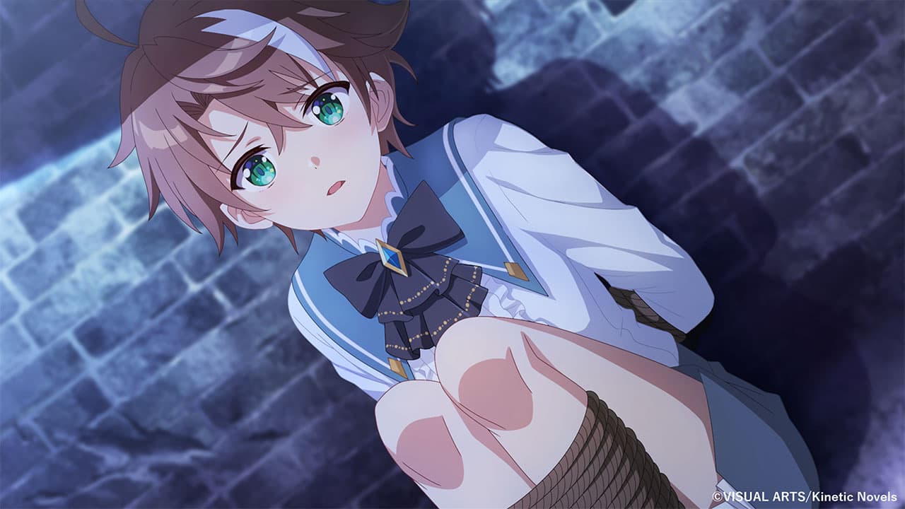 https://images.yurari.moe/galgame/10926/optzjsw6_2.jpg