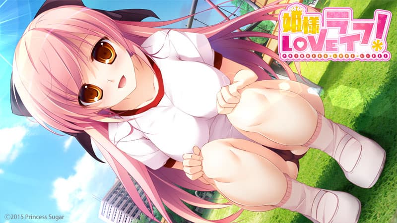 https://images.yurari.moe/galgame/10972/n7vejvca_2.jpg
