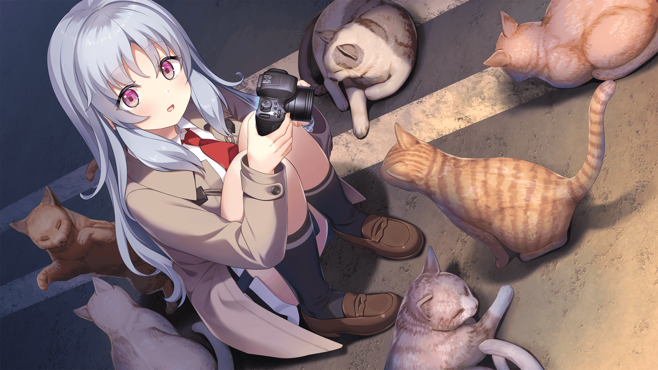 https://images.yurari.moe/galgame/10975/y5venel9_2.png