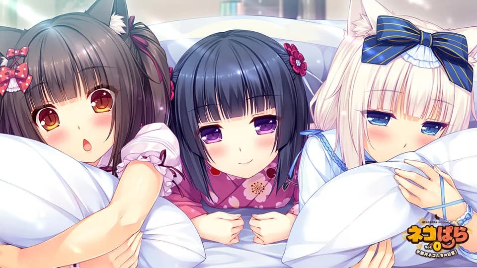 https://images.yurari.moe/galgame/11081/wsml90rb_2.webp