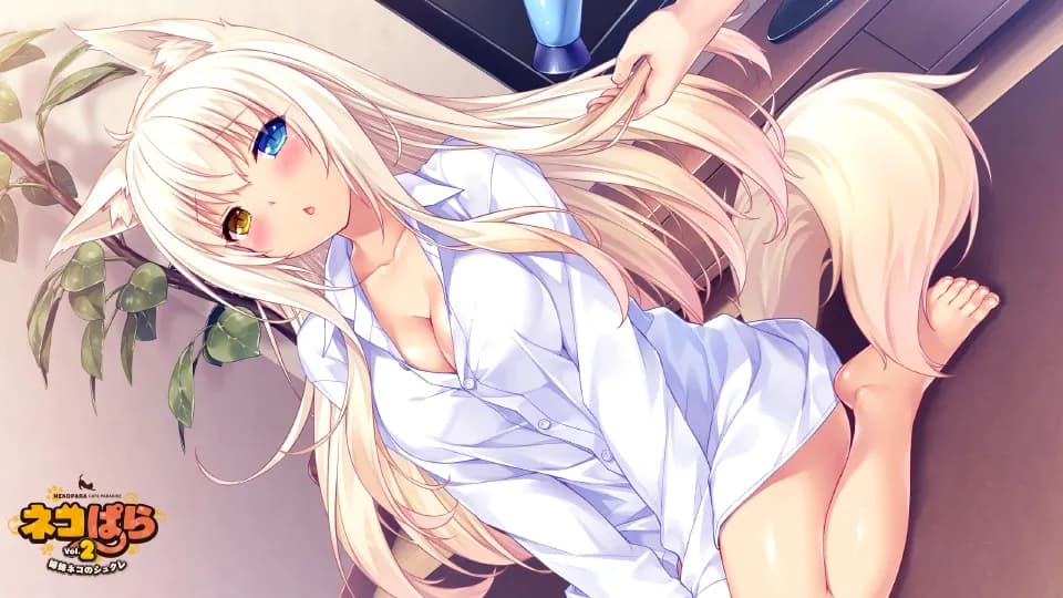https://images.yurari.moe/galgame/11083/4phbuxei_2.webp
