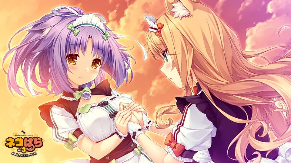 https://images.yurari.moe/galgame/11084/bbrwmjlp_2.webp