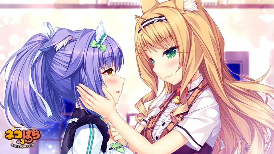 https://images.yurari.moe/galgame/11084/gyr73t9u_2.webp