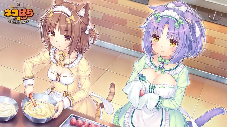 https://images.yurari.moe/galgame/11085/ff9d7t3j_2.webp