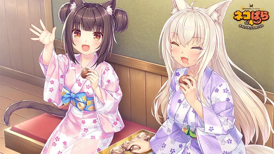 https://images.yurari.moe/galgame/11085/vokq79bx_2.webp