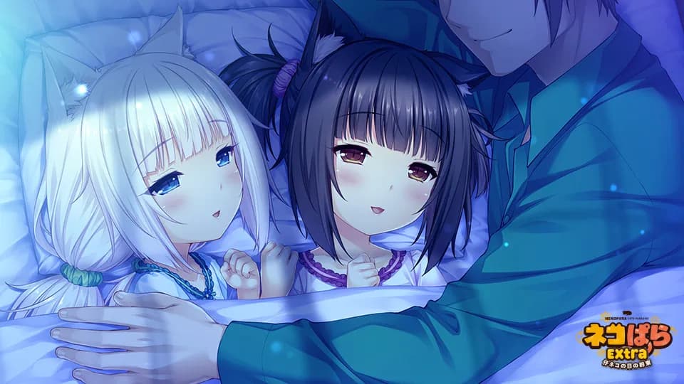 https://images.yurari.moe/galgame/11086/q70fldkr_2.webp
