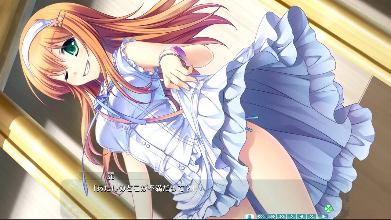 https://images.yurari.moe/galgame/11135/skvk3973_2.webp