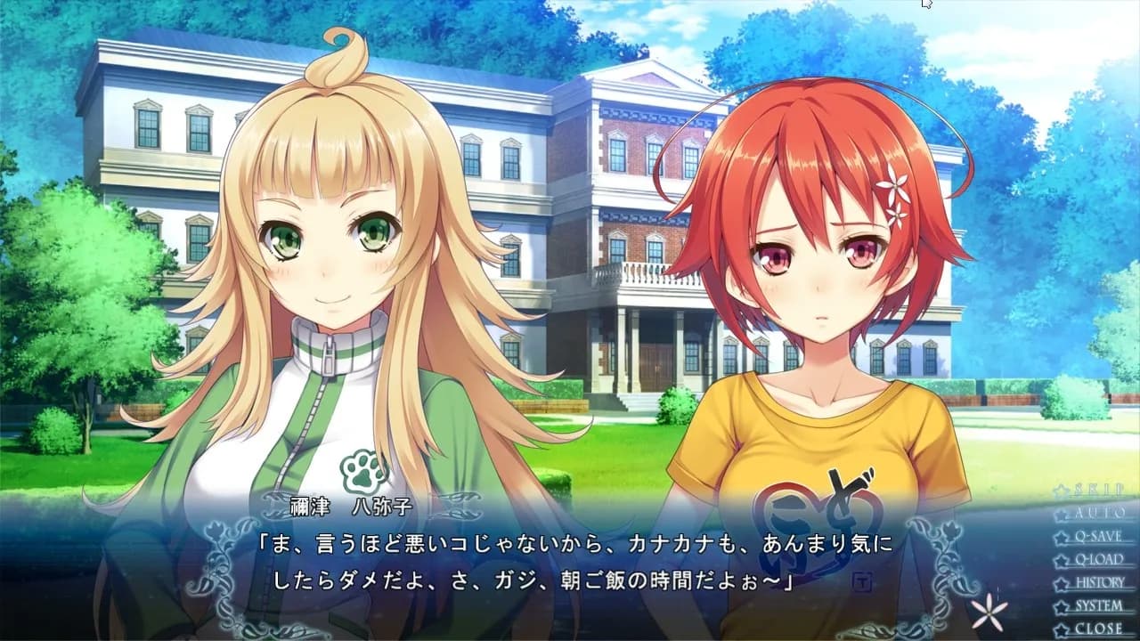 https://images.yurari.moe/galgame/11156/tae0lx2x_2.webp