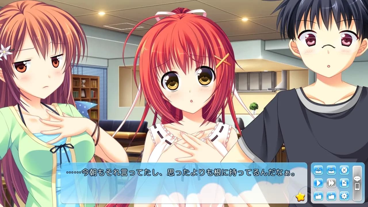 https://images.yurari.moe/galgame/11192/j33ek42c_2.webp
