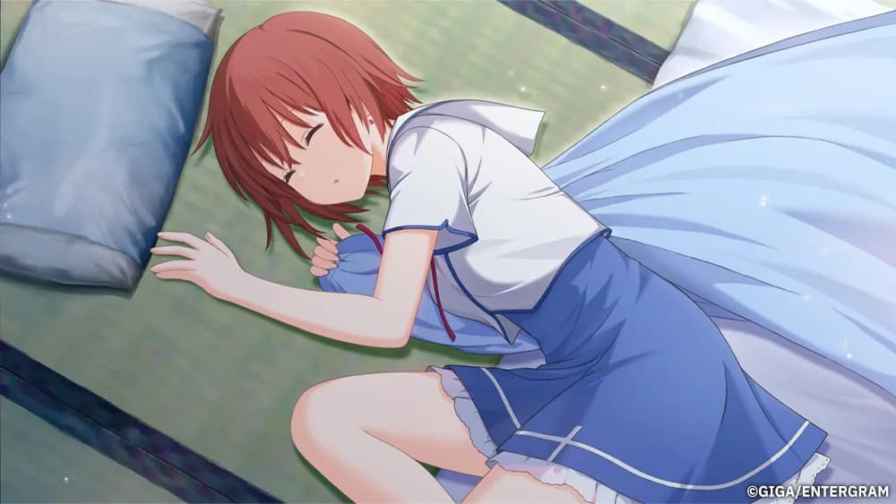 https://images.yurari.moe/galgame/11237/scgt1lgn_2.webp