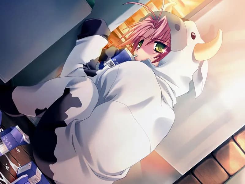 https://images.yurari.moe/galgame/11264/0nri1g9w_2.webp