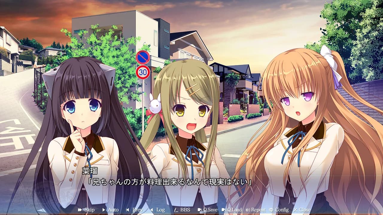 https://images.yurari.moe/galgame/11271/lam8rfp3_2.webp