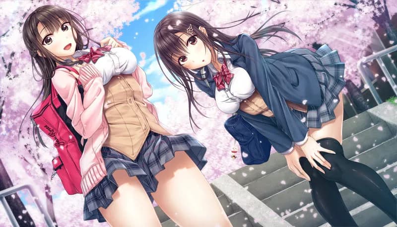 https://images.yurari.moe/galgame/11302/4dgsbscq_2.webp