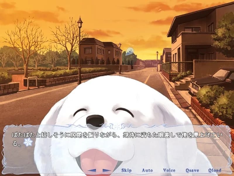 https://images.yurari.moe/galgame/11312/1s5la8ca_20.webp