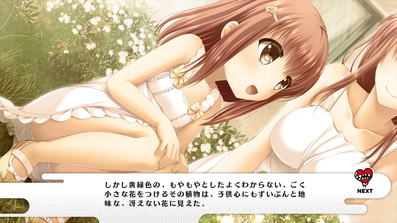 https://images.yurari.moe/galgame/11412/9g63636q_20.webp