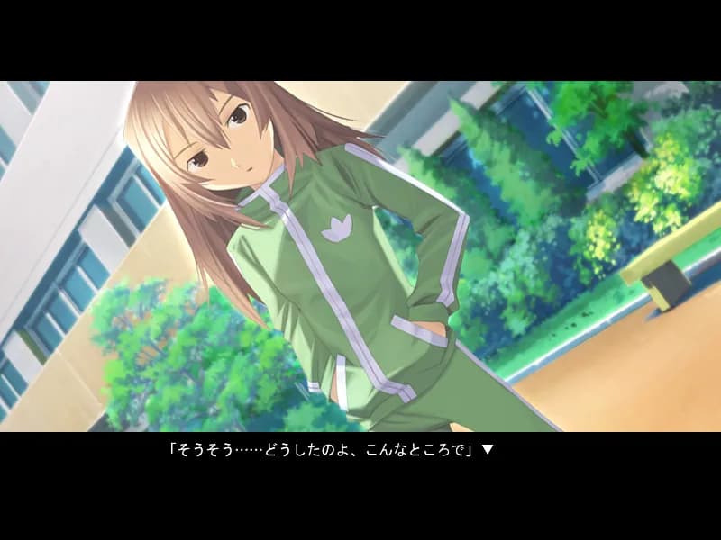 https://images.yurari.moe/galgame/11450/unuoiqhw_20.webp